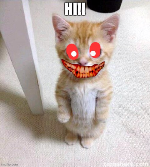 Cute Cat Meme | HI!! | image tagged in memes,cute cat | made w/ Imgflip meme maker