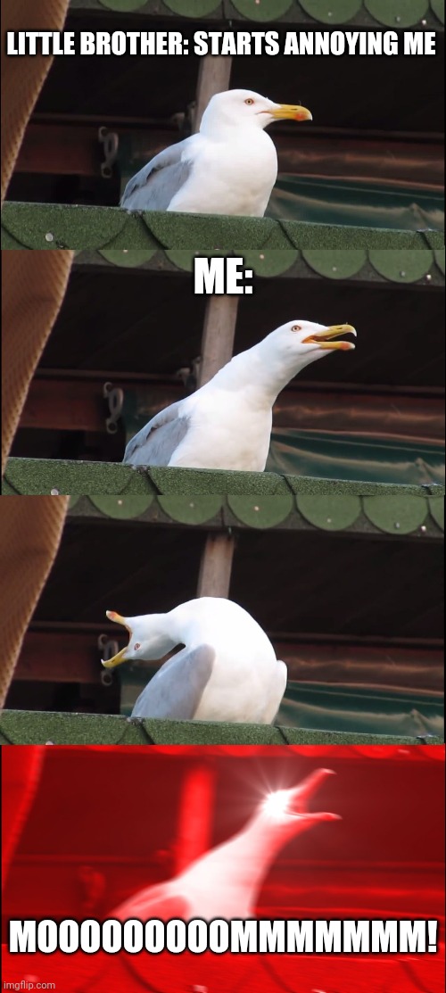 Inhaling Seagull | LITTLE BROTHER: STARTS ANNOYING ME; ME:; MOOOOOOOOOMMMMMMM! | image tagged in memes,inhaling seagull | made w/ Imgflip meme maker