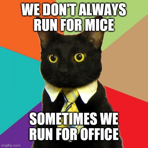 Business Cat | WE DON'T ALWAYS RUN FOR MICE; SOMETIMES WE RUN FOR OFFICE | image tagged in memes,business cat | made w/ Imgflip meme maker