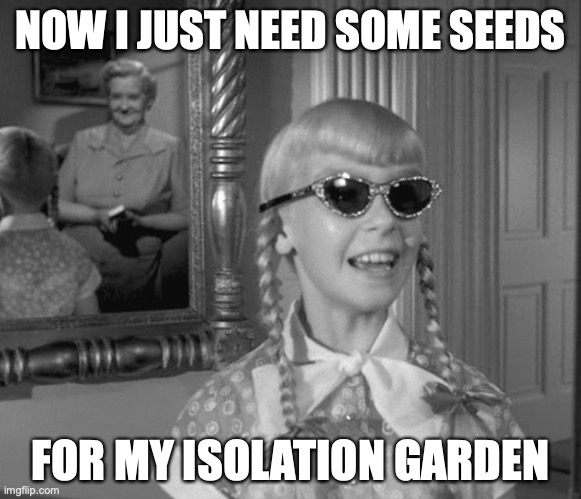 Bad Seed Isolation Garden | NOW I JUST NEED SOME SEEDS; FOR MY ISOLATION GARDEN | image tagged in bad seed,patty mccormick,isolation,covid-19 | made w/ Imgflip meme maker