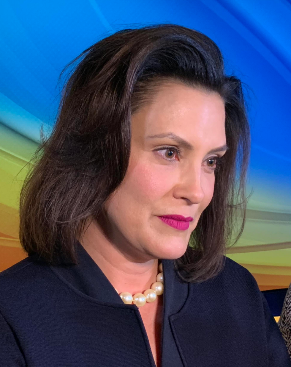 High Quality Governor Whitmer Blank Meme Template