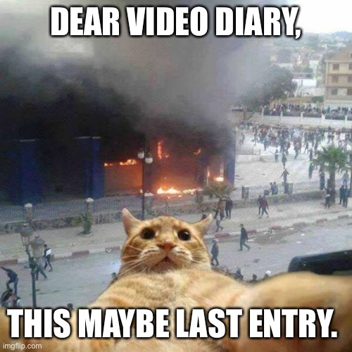Selfie cat | DEAR VIDEO DIARY, THIS MAYBE LAST ENTRY. | image tagged in selfie cat | made w/ Imgflip meme maker