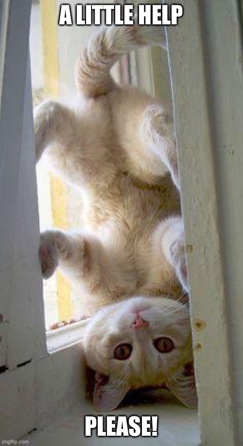 upside down cat | A LITTLE HELP; PLEASE! | image tagged in upside down cat | made w/ Imgflip meme maker