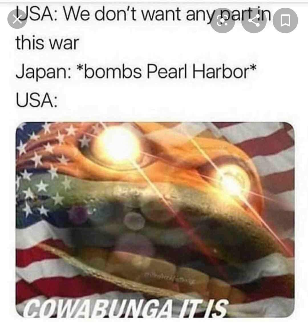 High Quality WW2 Cowabunga Blank Meme Template