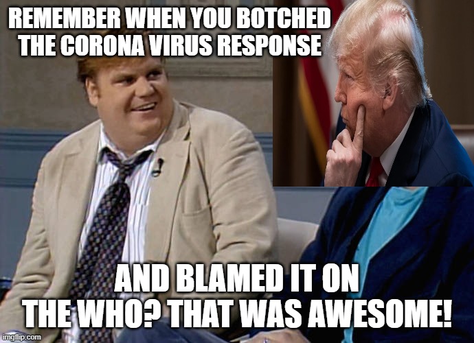 WHO | REMEMBER WHEN YOU BOTCHED THE CORONA VIRUS RESPONSE; AND BLAMED IT ON THE WHO? THAT WAS AWESOME! | image tagged in chris farley,thatwasawesome,coronavirus,donald trump,covid-19 | made w/ Imgflip meme maker