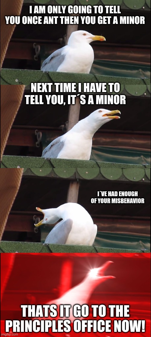 Inhaling Seagull | I AM ONLY GOING TO TELL YOU ONCE ANT THEN YOU GET A MINOR; NEXT TIME I HAVE TO TELL YOU, IT´S A MINOR; I´VE HAD ENOUGH OF YOUR MISBEHAVIOR; THATS IT GO TO THE PRINCIPLES OFFICE NOW! | image tagged in memes,inhaling seagull | made w/ Imgflip meme maker