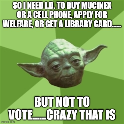 Advice Yoda Meme | SO I NEED I.D. TO BUY MUCINEX OR A CELL PHONE, APPLY FOR WELFARE, OR GET A LIBRARY CARD...... BUT NOT TO VOTE......CRAZY THAT IS | image tagged in memes,advice yoda | made w/ Imgflip meme maker