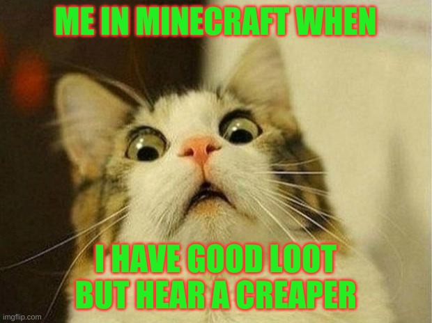 Scared Cat Meme | ME IN MINECRAFT WHEN; I HAVE GOOD LOOT BUT HEAR A CREAPER | image tagged in memes,scared cat | made w/ Imgflip meme maker