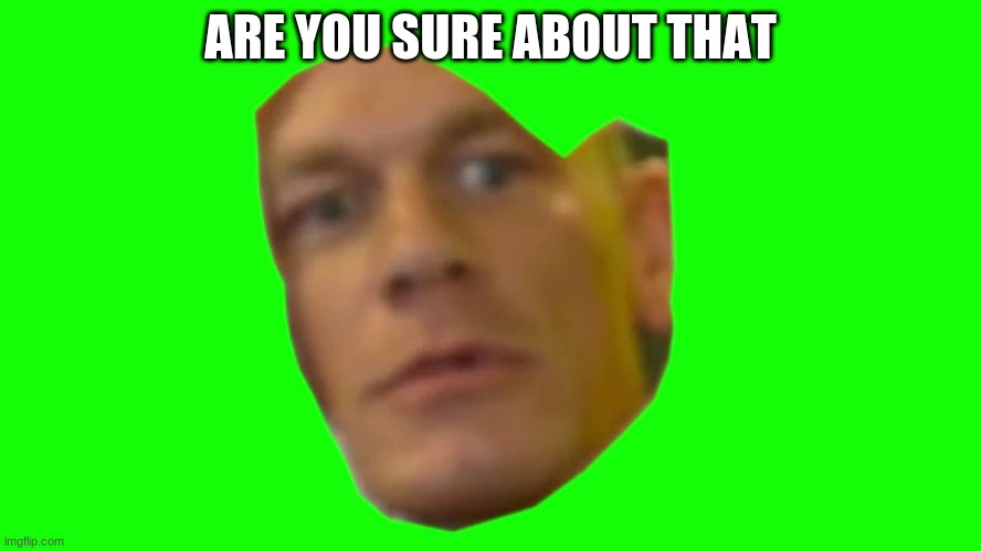 Jon Cena Are You Sure About That | ARE YOU SURE ABOUT THAT | image tagged in jon cena are you sure about that | made w/ Imgflip meme maker