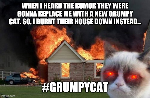 Burn Kitty Meme | WHEN I HEARD THE RUMOR THEY WERE GONNA REPLACE ME WITH A NEW GRUMPY CAT. SO, I BURNT THEIR HOUSE DOWN INSTEAD... #GRUMPYCAT | image tagged in memes,burn kitty,grumpy cat | made w/ Imgflip meme maker