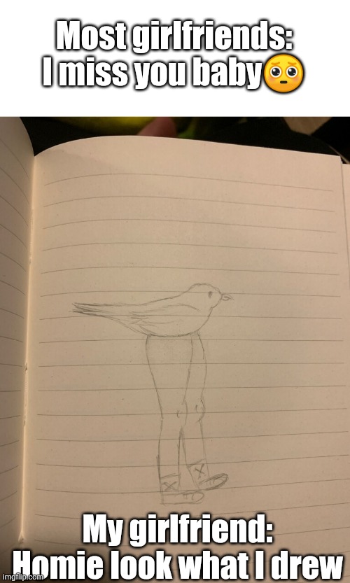 Thicc Bird | Most girlfriends: I miss you baby🥺; My girlfriend: Homie look what I drew | image tagged in bird,legs,sexy legs,thicc,drawing,sketch | made w/ Imgflip meme maker