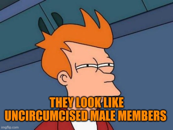 Futurama Fry Meme | THEY LOOK LIKE UNCIRCUMCISED MALE MEMBERS | image tagged in memes,futurama fry | made w/ Imgflip meme maker