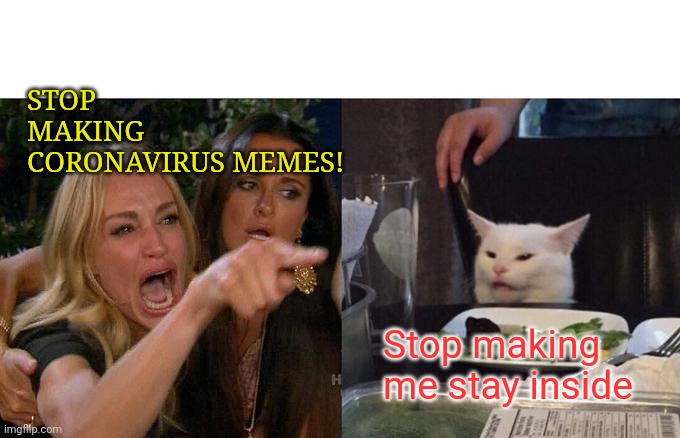 Woman Yelling At Cat Meme | STOP MAKING CORONAVIRUS MEMES! Stop making me stay inside | image tagged in memes,woman yelling at cat | made w/ Imgflip meme maker