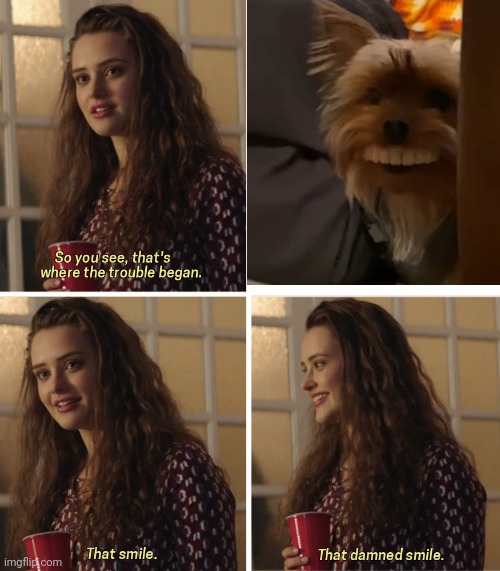 That Damn Smile | image tagged in that damn smile | made w/ Imgflip meme maker