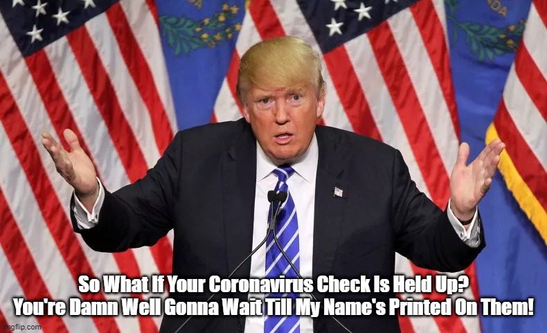 "So What If Your Coronavirus Check Is Held Up?" | So What If Your Coronavirus Check Is Held Up?
You're Damn Well Gonna Wait Till My Name's Printed On Them! | image tagged in despicable donald,deplorable donald,trump,toxic narcissist | made w/ Imgflip meme maker