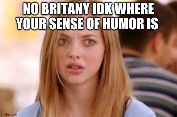 Sorry..WHAT | NO BRITANY IDK WHERE YOUR SENSE OF HUMOR IS | image tagged in sorrywhat | made w/ Imgflip meme maker
