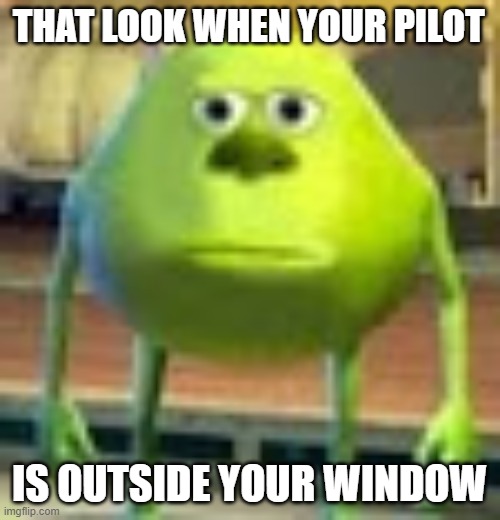 Sully Wazowski | THAT LOOK WHEN YOUR PILOT IS OUTSIDE YOUR WINDOW | image tagged in sully wazowski | made w/ Imgflip meme maker