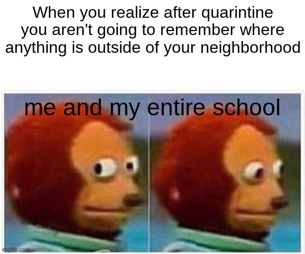 Monkey Puppet Meme | When you realize after quarintine you aren't going to remember where anything is outside of your neighborhood; me and my entire school | image tagged in memes,monkey puppet | made w/ Imgflip meme maker
