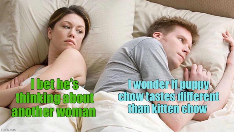 I Bet He's Thinking About Other Women Meme | I wonder if puppy chow tastes different than kitten chow; I bet he’s thinking about another woman | image tagged in i bet he's thinking about other women | made w/ Imgflip meme maker