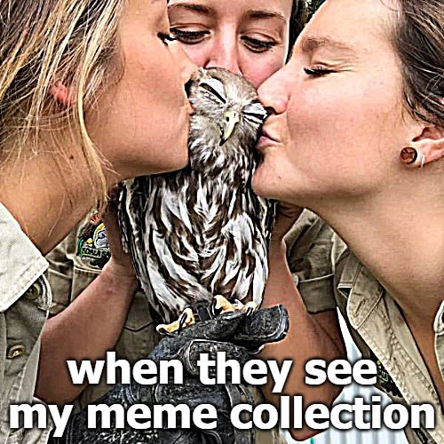 when they see my meme collection | image tagged in meme | made w/ Imgflip meme maker