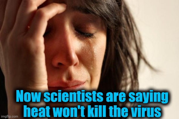 First World Problems Meme | Now scientists are saying heat won't kill the virus | image tagged in memes,first world problems | made w/ Imgflip meme maker