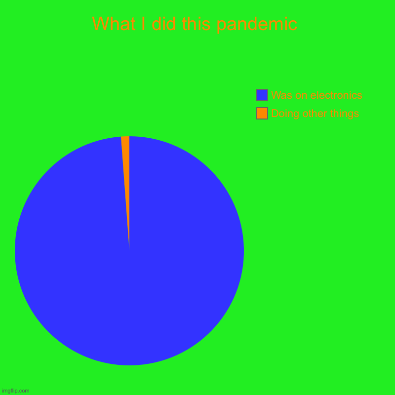 What I did this pandemic | Doing other things, Was on electronics | image tagged in charts,pie charts | made w/ Imgflip chart maker
