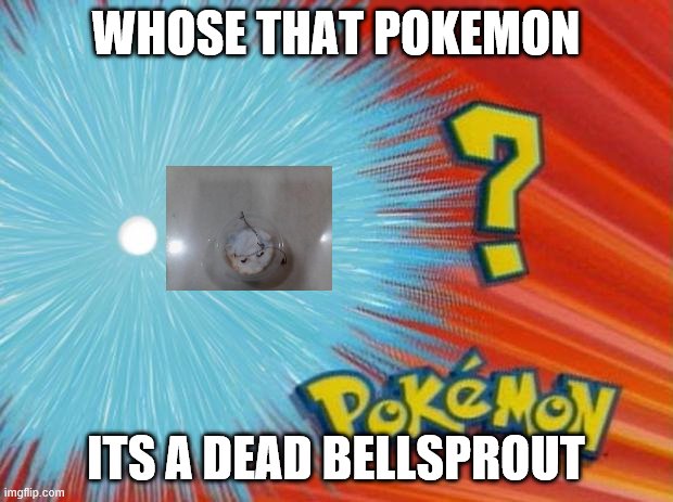 who is that pokemon | WHOSE THAT POKEMON; ITS A DEAD BELLSPROUT | image tagged in who is that pokemon | made w/ Imgflip meme maker