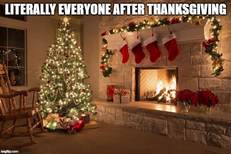 I've seen it after Halloween too | LITERALLY EVERYONE AFTER THANKSGIVING | image tagged in memes,christmas meme,why | made w/ Imgflip meme maker