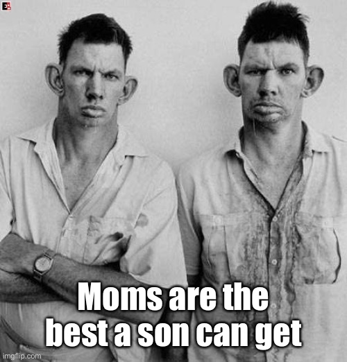 Inbred twins | Moms are the best a son can get | image tagged in inbred twins | made w/ Imgflip meme maker