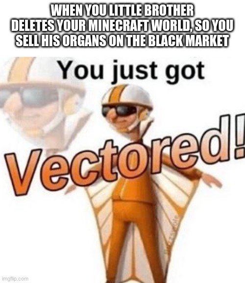 You just got vectored | WHEN YOU LITTLE BROTHER DELETES YOUR MINECRAFT WORLD, SO YOU SELL HIS ORGANS ON THE BLACK MARKET | image tagged in you just got vectored | made w/ Imgflip meme maker