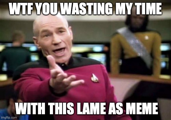 Picard Wtf | WTF YOU WASTING MY TIME; WITH THIS LAME AS MEME | image tagged in memes,picard wtf | made w/ Imgflip meme maker