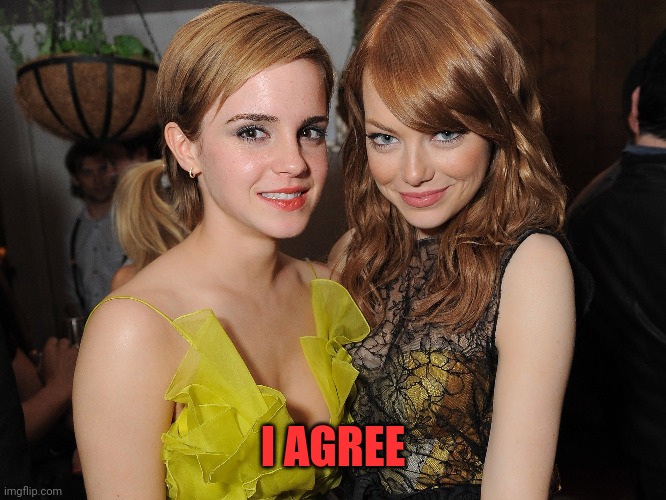 emma stone and emma watson | I AGREE | image tagged in emma stone and emma watson | made w/ Imgflip meme maker