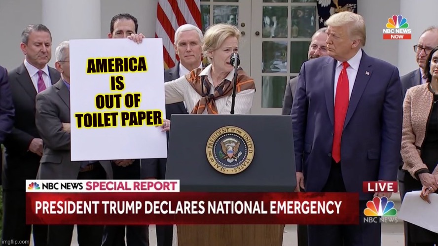 Trump National Emergency Meme | AMERICA IS OUT OF TOILET PAPER | image tagged in trump national emergency meme | made w/ Imgflip meme maker
