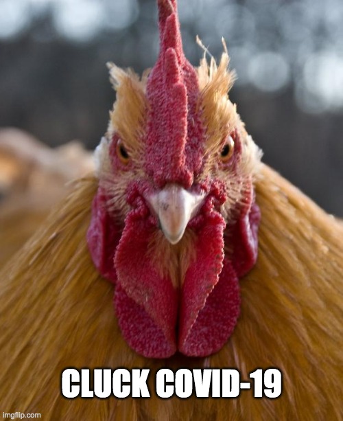 Cluck COVID | CLUCK COVID-19 | image tagged in angry chicken,covid-19,coronavirus | made w/ Imgflip meme maker