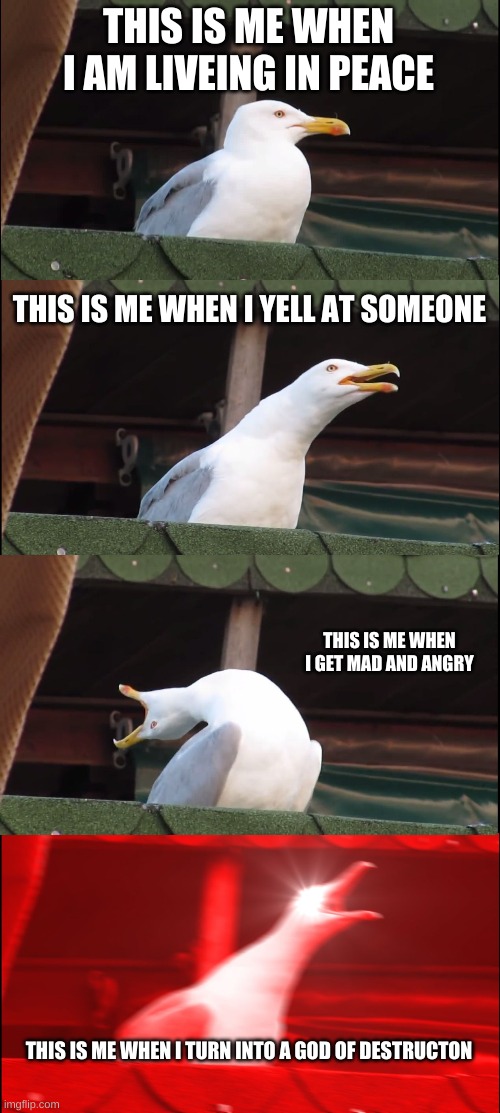 Inhaling Seagull | THIS IS ME WHEN I AM LIVEING IN PEACE; THIS IS ME WHEN I YELL AT SOMEONE; THIS IS ME WHEN I GET MAD AND ANGRY; THIS IS ME WHEN I TURN INTO A GOD OF DESTRUCTON | image tagged in memes,inhaling seagull | made w/ Imgflip meme maker