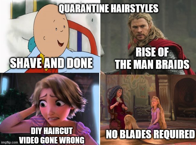 Quarantine Hairstyles | image tagged in quarantine,hair,haircut,diy fails,truth,thor | made w/ Imgflip meme maker