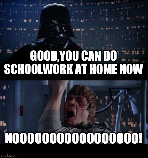 Star Wars No Meme | GOOD,YOU CAN DO SCHOOLWORK AT HOME NOW; NOOOOOOOOOOOOOOOOO! | image tagged in memes,star wars no | made w/ Imgflip meme maker