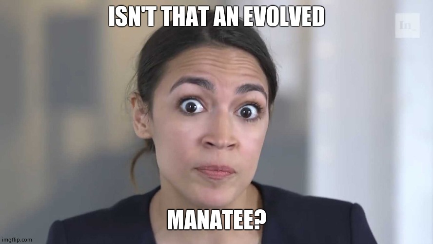 AOC Stumped | ISN'T THAT AN EVOLVED MANATEE? | image tagged in aoc stumped | made w/ Imgflip meme maker