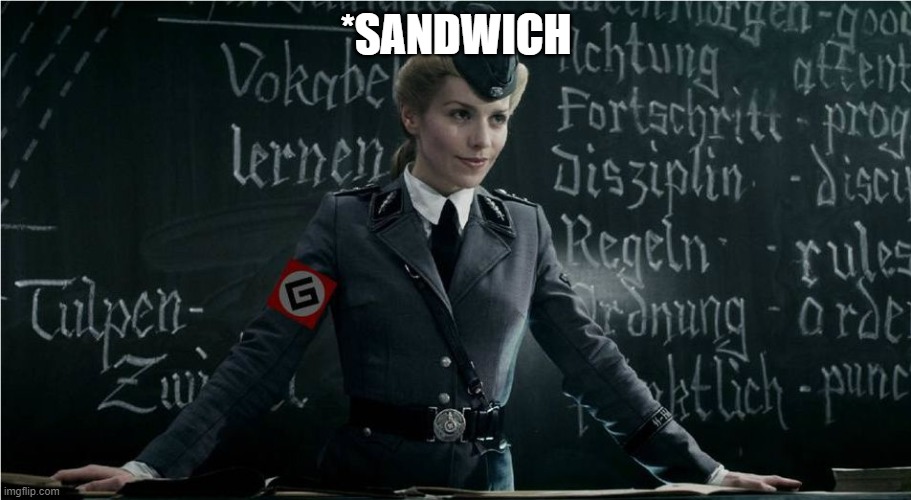 Grammar Nazi | *SANDWICH | image tagged in grammar nazi | made w/ Imgflip meme maker