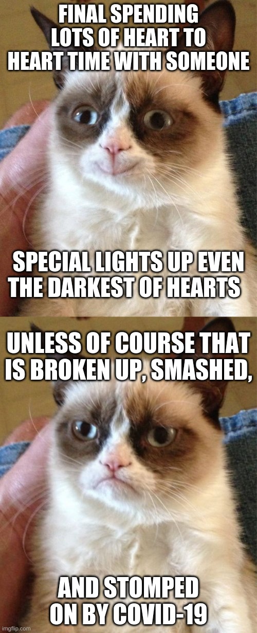 FINAL SPENDING LOTS OF HEART TO HEART TIME WITH SOMEONE; SPECIAL LIGHTS UP EVEN THE DARKEST OF HEARTS; UNLESS OF COURSE THAT IS BROKEN UP, SMASHED, AND STOMPED ON BY COVID-19 | image tagged in memes,grumpy cat,grumpy cat happy | made w/ Imgflip meme maker