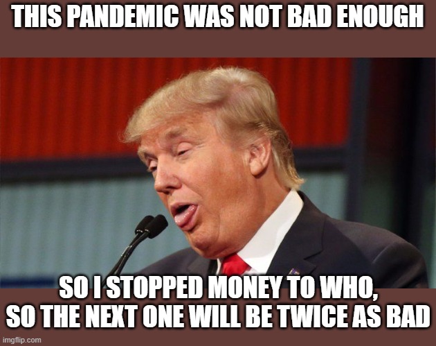 Blood on his tiny hands | THIS PANDEMIC WAS NOT BAD ENOUGH; SO I STOPPED MONEY TO WHO, SO THE NEXT ONE WILL BE TWICE AS BAD | image tagged in memes,maga,donald trump is an idiot,politics,coronavirus | made w/ Imgflip meme maker