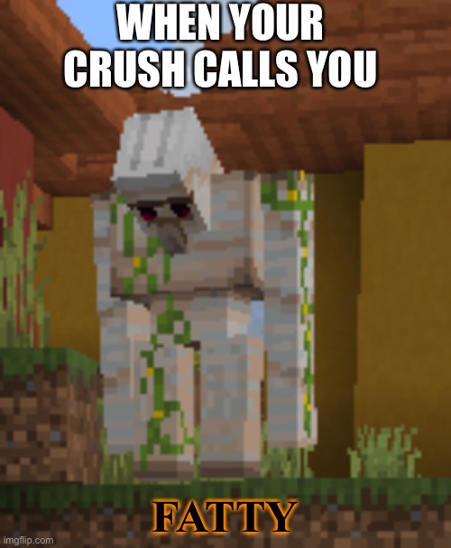 Iron golem sad | WHEN YOUR CRUSH CALLS YOU; FATTY | image tagged in iron golem sad | made w/ Imgflip meme maker