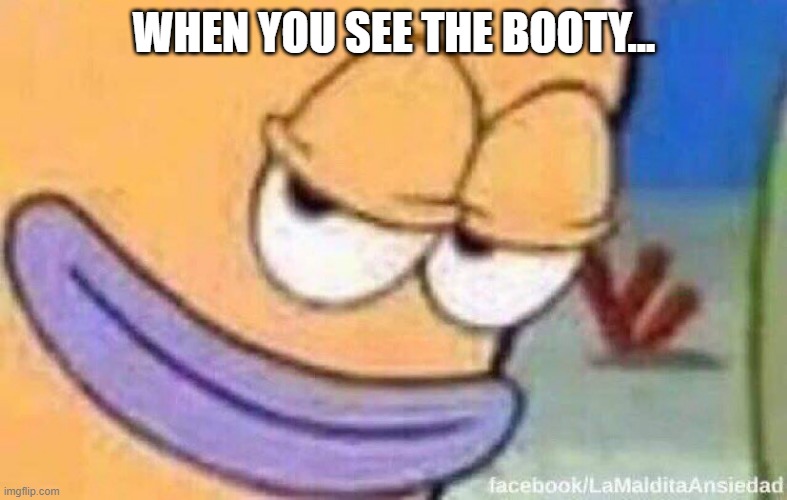 Booty Had Me Like | WHEN YOU SEE THE BOOTY... | image tagged in booty | made w/ Imgflip meme maker