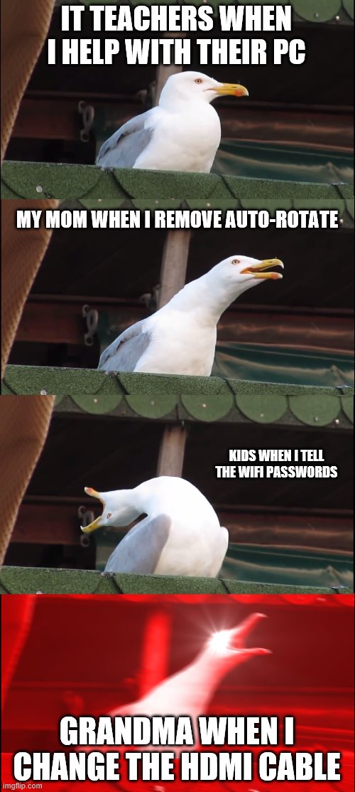 Inhaling Seagull Meme | IT TEACHERS WHEN I HELP WITH THEIR PC; MY MOM WHEN I REMOVE AUTO-ROTATE; KIDS WHEN I TELL THE WIFI PASSWORDS; GRANDMA WHEN I CHANGE THE HDMI CABLE | image tagged in memes,inhaling seagull | made w/ Imgflip meme maker