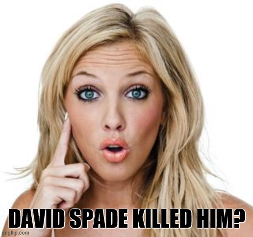 Dumb blonde | DAVID SPADE KILLED HIM? | image tagged in dumb blonde | made w/ Imgflip meme maker