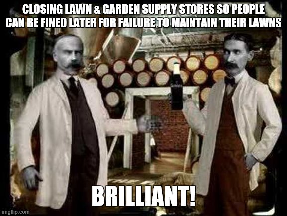 Brilliant! | CLOSING LAWN & GARDEN SUPPLY STORES SO PEOPLE CAN BE FINED LATER FOR FAILURE TO MAINTAIN THEIR LAWNS BRILLIANT! | image tagged in brilliant | made w/ Imgflip meme maker