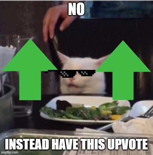 only the cat | NO INSTEAD HAVE THIS UPVOTE | image tagged in only the cat | made w/ Imgflip meme maker
