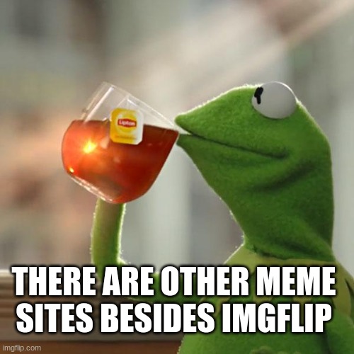But That's None Of My Business Meme | THERE ARE OTHER MEME SITES BESIDES IMGFLIP | image tagged in memes,but that's none of my business,kermit the frog | made w/ Imgflip meme maker