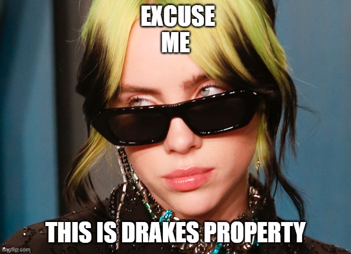 EXCUSE ME; THIS IS DRAKES PROPERTY | image tagged in memes | made w/ Imgflip meme maker