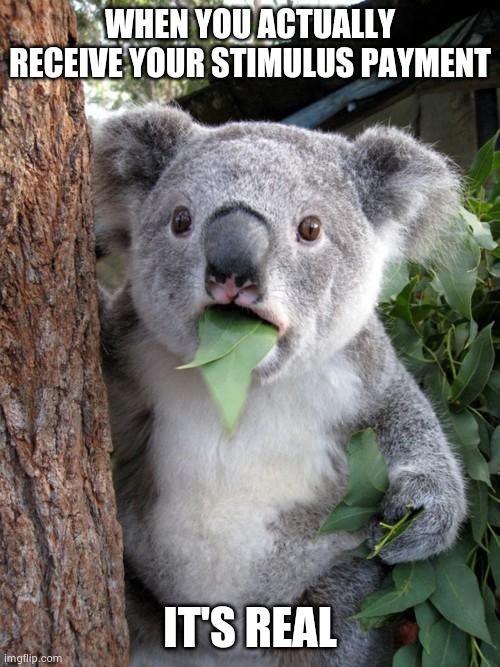 Surprised Koala | WHEN YOU ACTUALLY RECEIVE YOUR STIMULUS PAYMENT; IT'S REAL | image tagged in memes,surprised koala | made w/ Imgflip meme maker